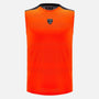 Automobili Lamborghini Men's Activewear Tank Top - Orange Tank Tops Automobili Lamborghini