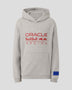 Red Bull Racing F1 Kid's Large Logo Hoodie - Youth Navy/Blue/Grey Hoodies Red Bull Racing S Gray