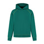 Aston Martin F1 Lifestyle Graphic Hoodie - Black/Green Hoodies Aston Martin F1 S Green