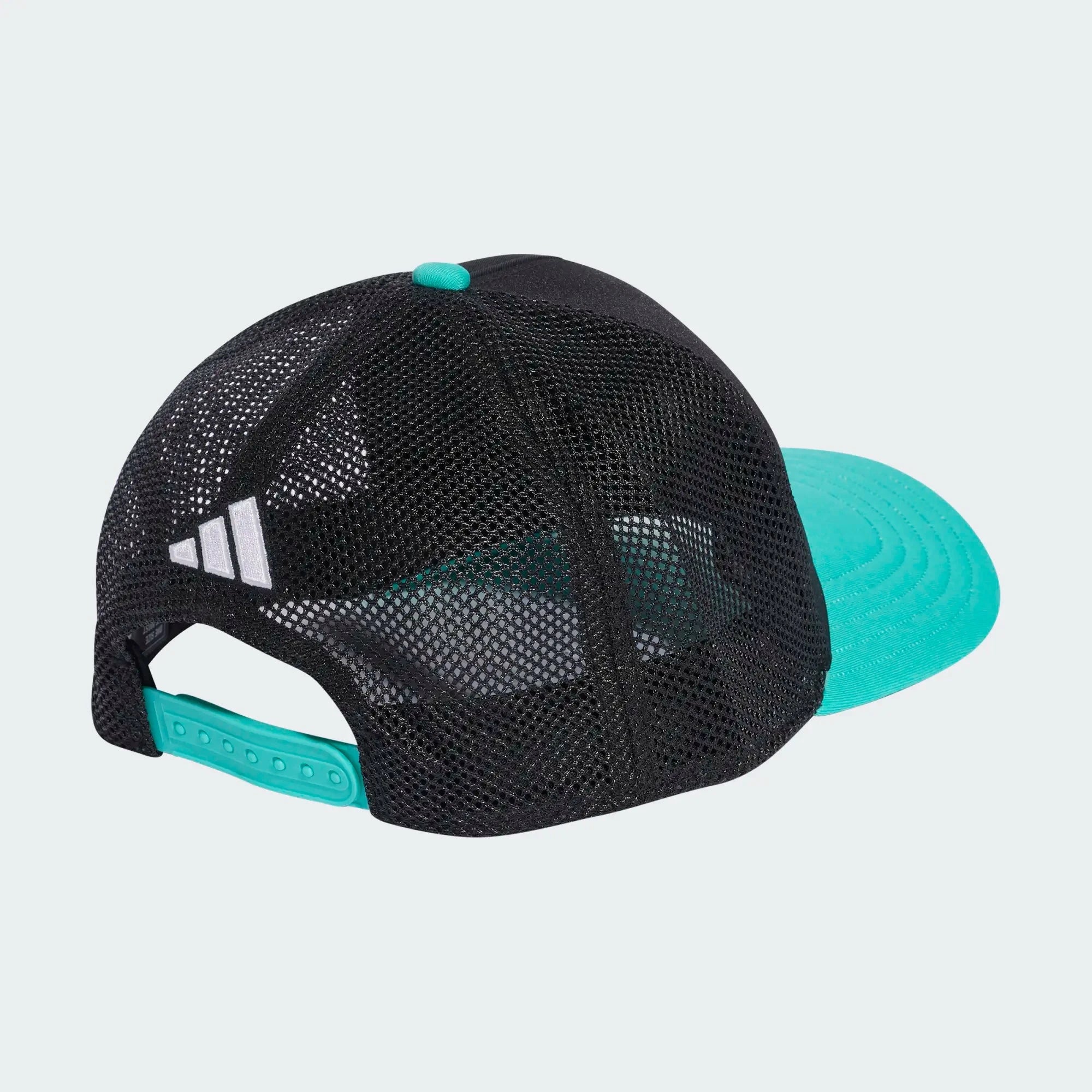 Mercedes - AMG Petronas Formula One DNA Hat - Black Hats Mercedes AMG Petronas