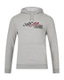 Joe Gibbs Racing Lifestyle Hoodie - Gray Hoodies Joe Gibbs Racing