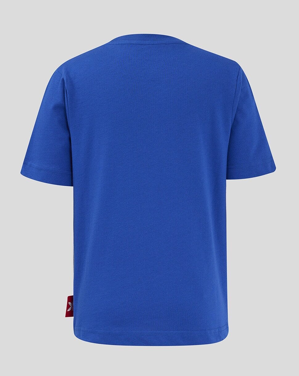 Red Bull Racing F1 20th Anniversary Kids T-Shirt - Youth Blue T-shirts Red Bull Racing