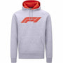 Formula 1 Tech Collection F1 Men's Large Logo Hooded Sweatshirt Black/Gray/Red Hoodies Gray