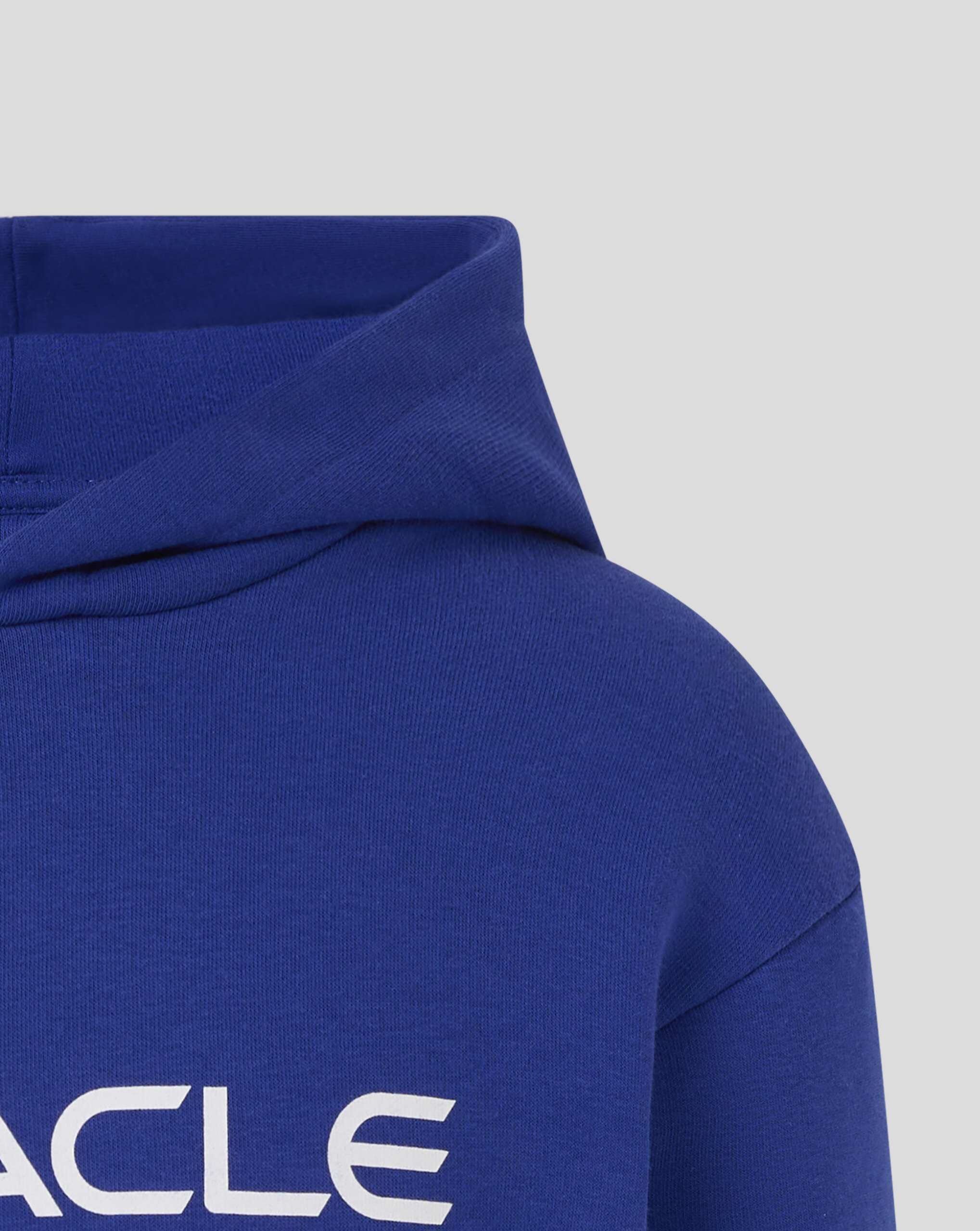 Red Bull Racing F1 Kid's Large Logo Hoodie - Youth Navy/Blue/Grey Hoodies Red Bull Racing 