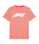Formula 1 Tech Collection F1 Men's Essential Logo T-Shirt - Black/White/Red/Pink T-shirts Formula 1 S Pink 