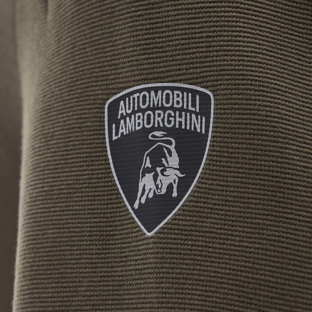 Automobili Lamborghini Men's Activewear Full Zip Hoodie - Green Hoodies Automobili Lamborghini 