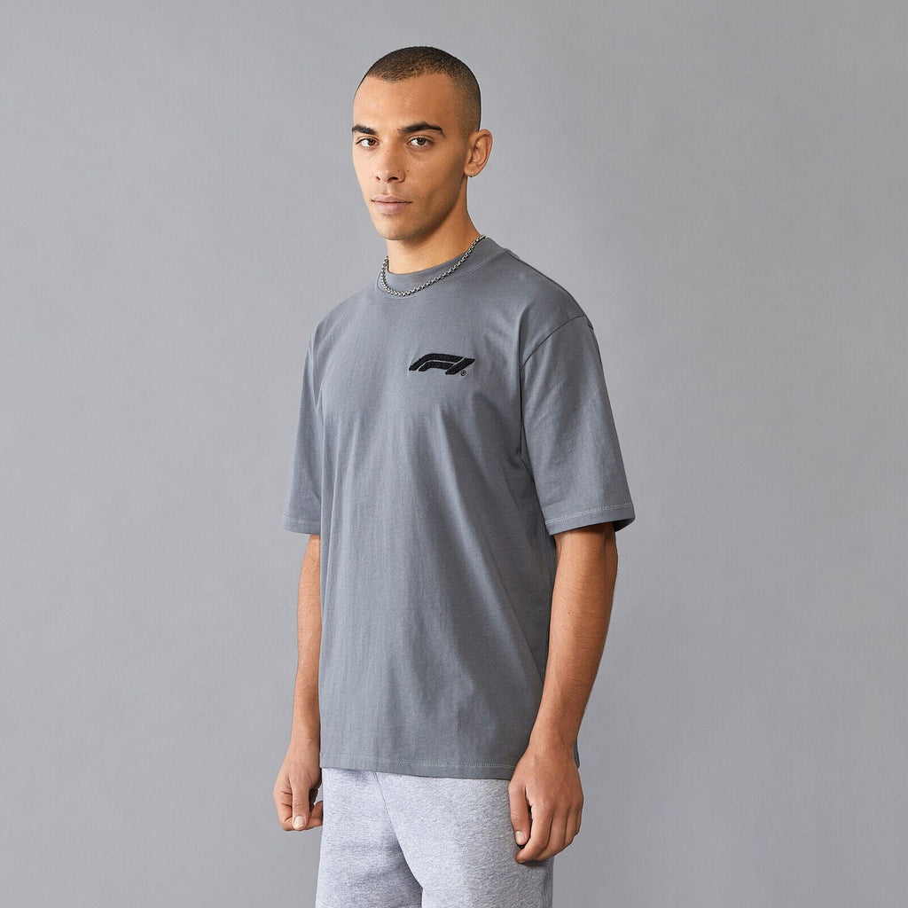 Formula 1 Tech Relaxed Fit Boucle T-Shirt - Grey/White T-shirts Formula 1 