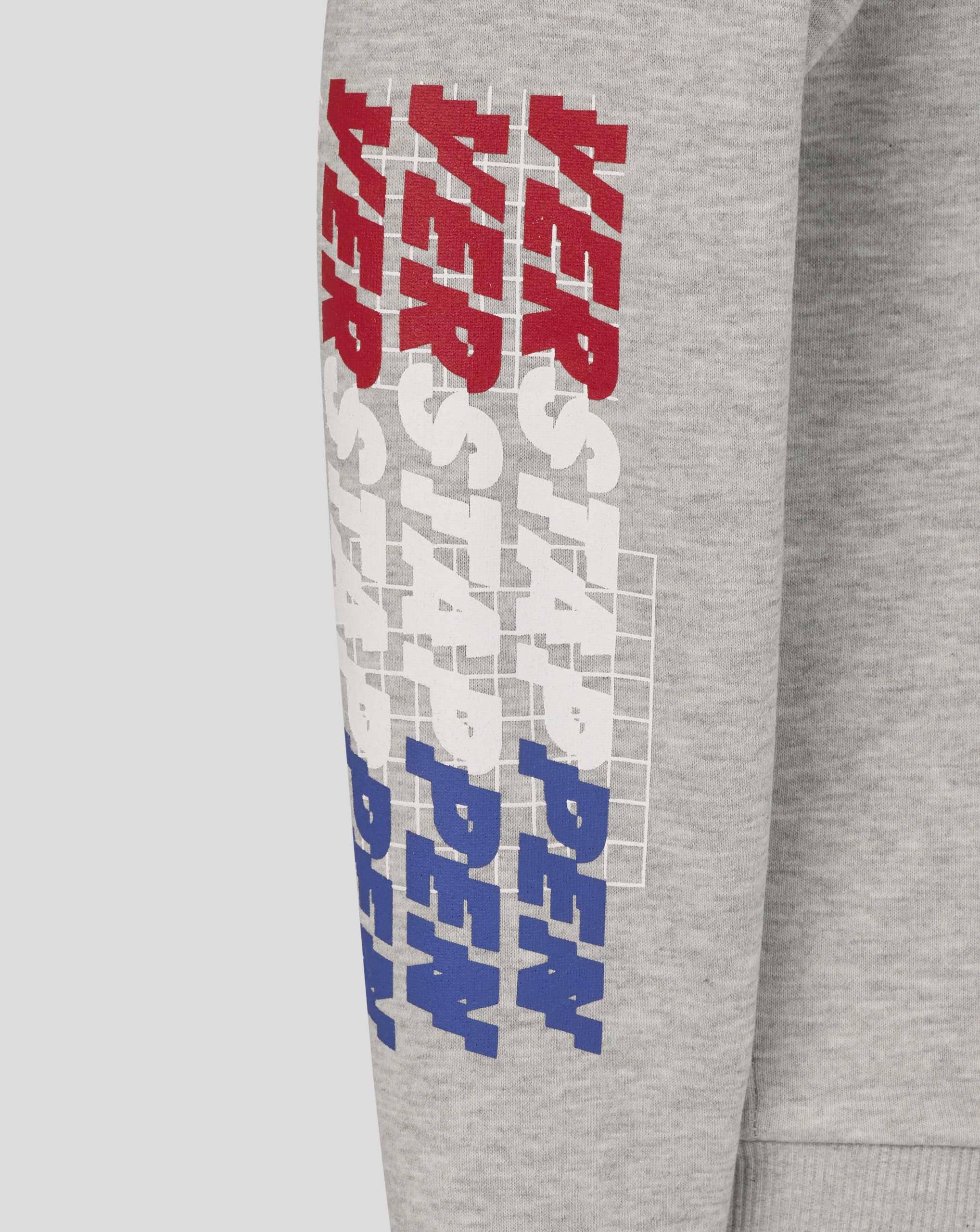 Red Bull Racing F1 Kid's Max Verstappen Sleeve Graphic Pullover Hoodie - Youth Grey Hoodies Red Bull Racing 