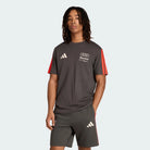 Audi Formula One Men's Team DNA T-Shirt - Gray T-shirts Audi F1 