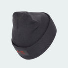 Audi F1 2026 Team Beanie - Gray Hats Audi F1 