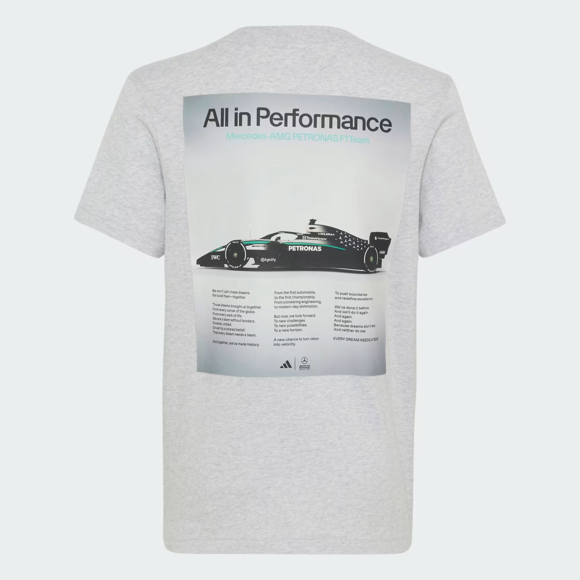 Mercedes - AMG Petronas F1 Kids Graphic T-Shirt - Youth Gray T-shirts Mercedes AMG Petronas 