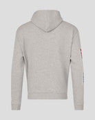Red Bull Racing F1 Max Verstappen Sleeve Graphic Pullover Hoodie - Grey Hoodies Red Bull Racing 