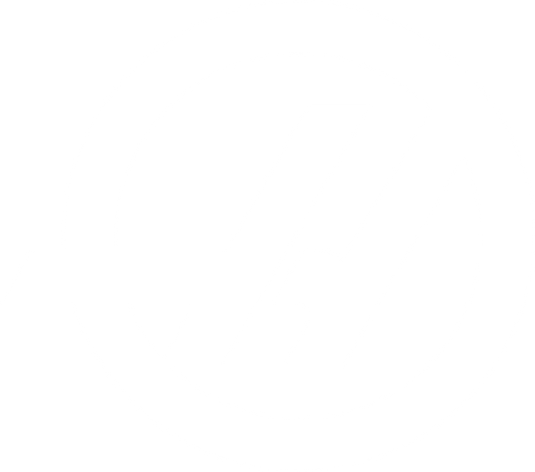 Haas F1 Team