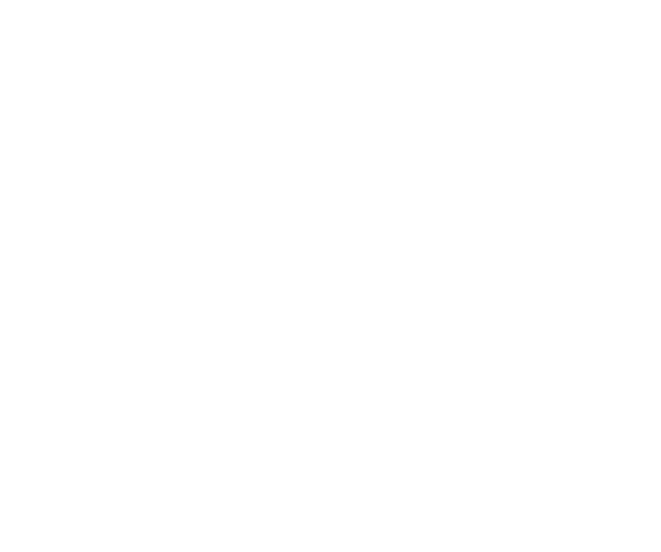 Racing Bulls