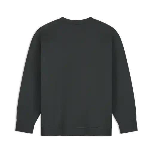 Formula 1 Tech RDW Graphic Crew Sweatshirt - Pirate Black – CMC