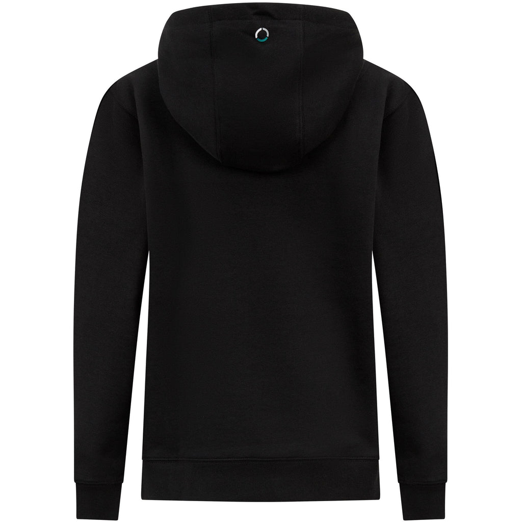 Mercedes AMG Petronas F1 Kids Hooded Logo Sweatshirt - Youth Hoodies Black