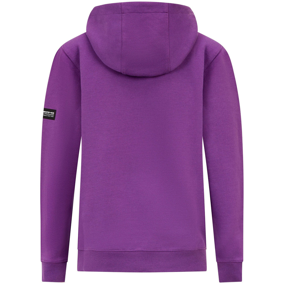 Mercedes AMG Petronas F1 Kids Lewis Hamilton Hoodie - Youth Hoodies Dark Slate Blue