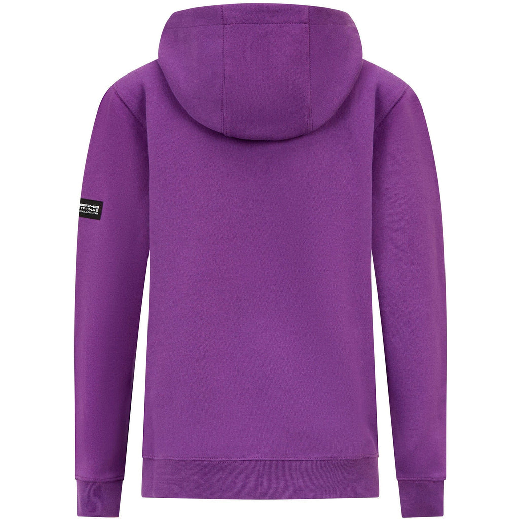 Mercedes AMG Petronas F1 Kids Lewis Hamilton Hoodie - Youth Hoodies Dark Slate Blue