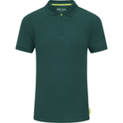 Aston Martin F1 Men's Essential Polo Shirt -Black/Green Polos Dark Slate Gray
