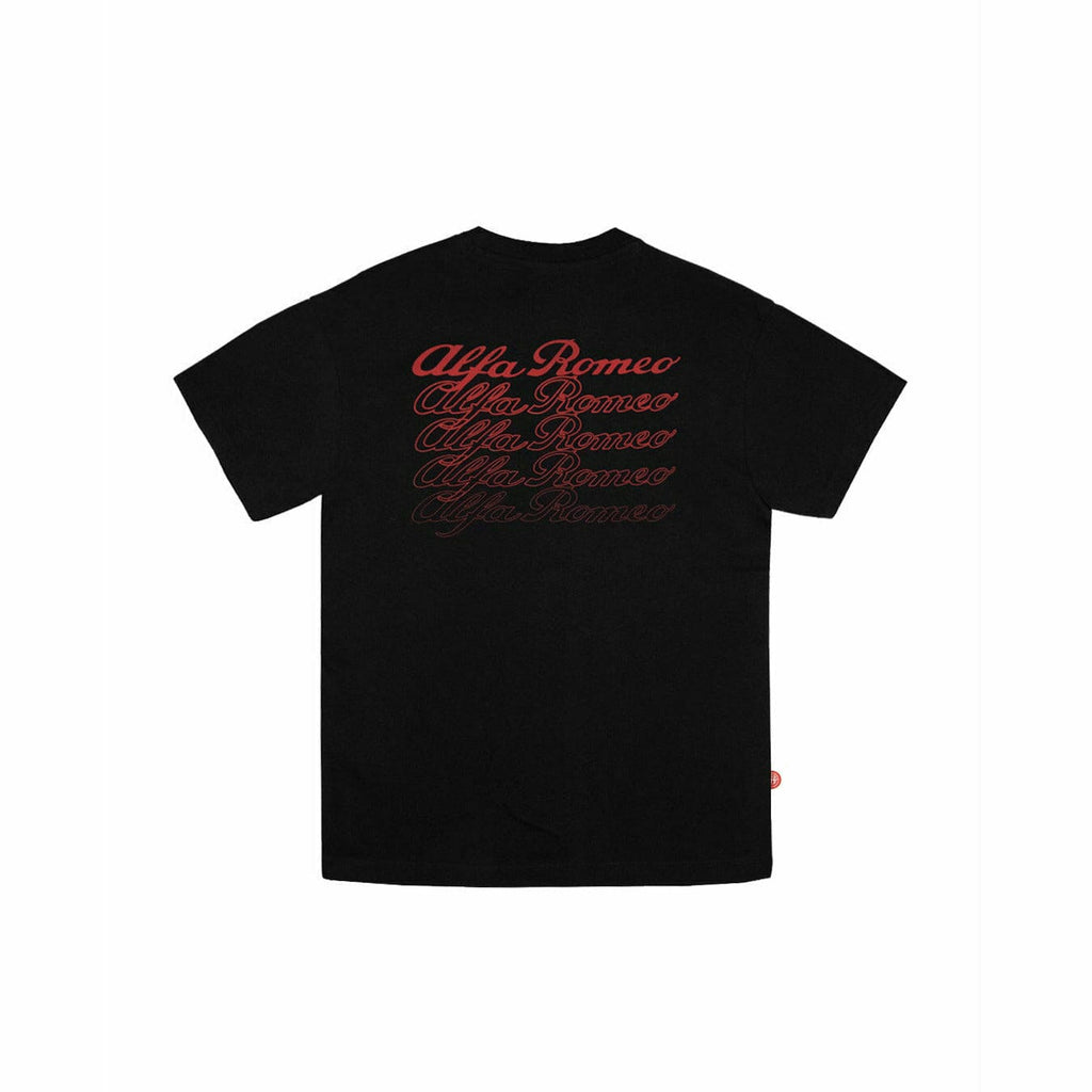 Alfa Romeo Racing Men's DNA Small Logo T-Shirt T-shirts Black