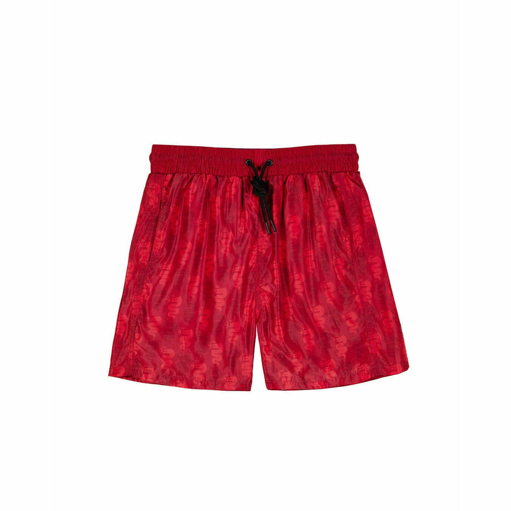 Alfa Romeo Racing Men's Swim Shorts Shorts Firebrick