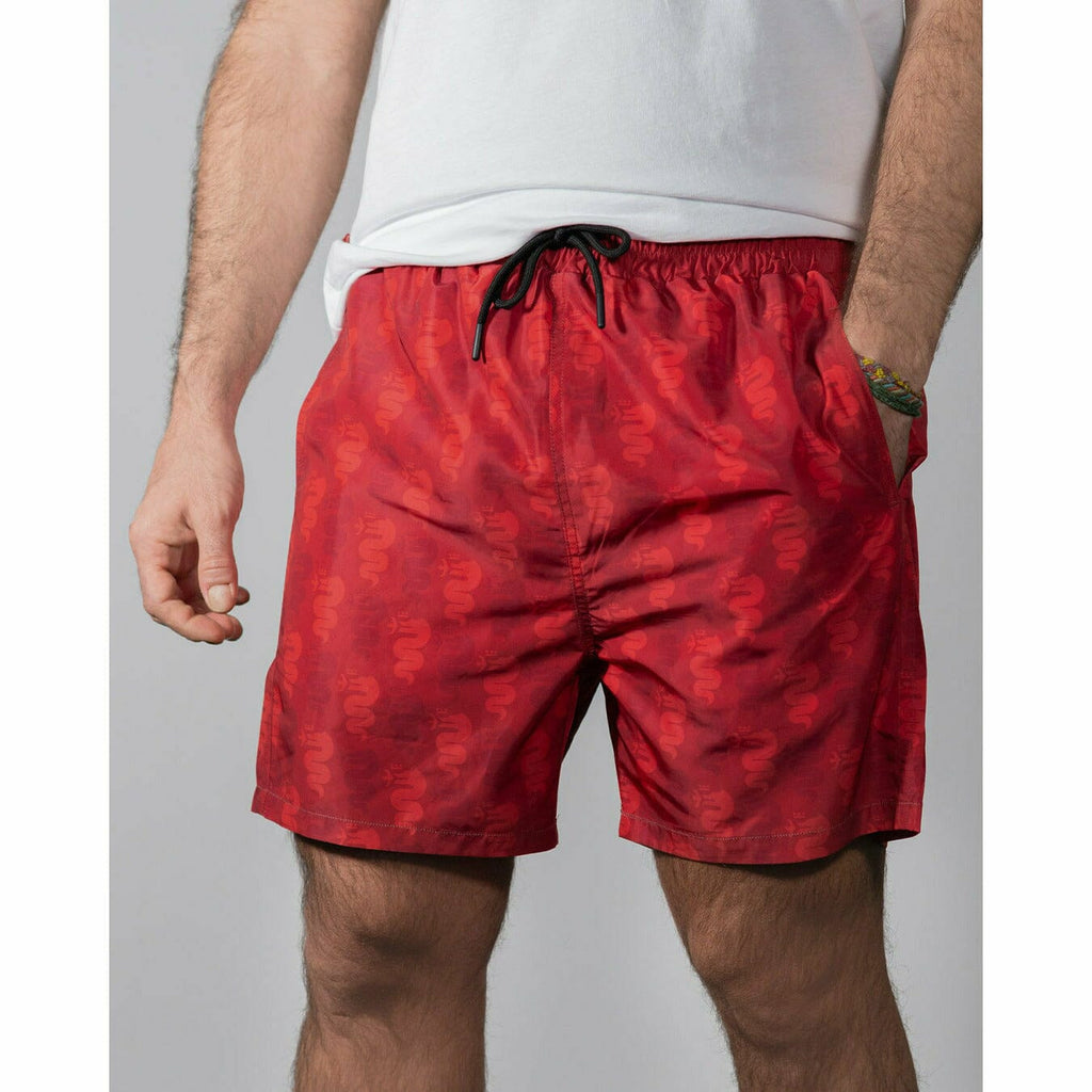 Alfa Romeo Racing Men's Swim Shorts Shorts Gray