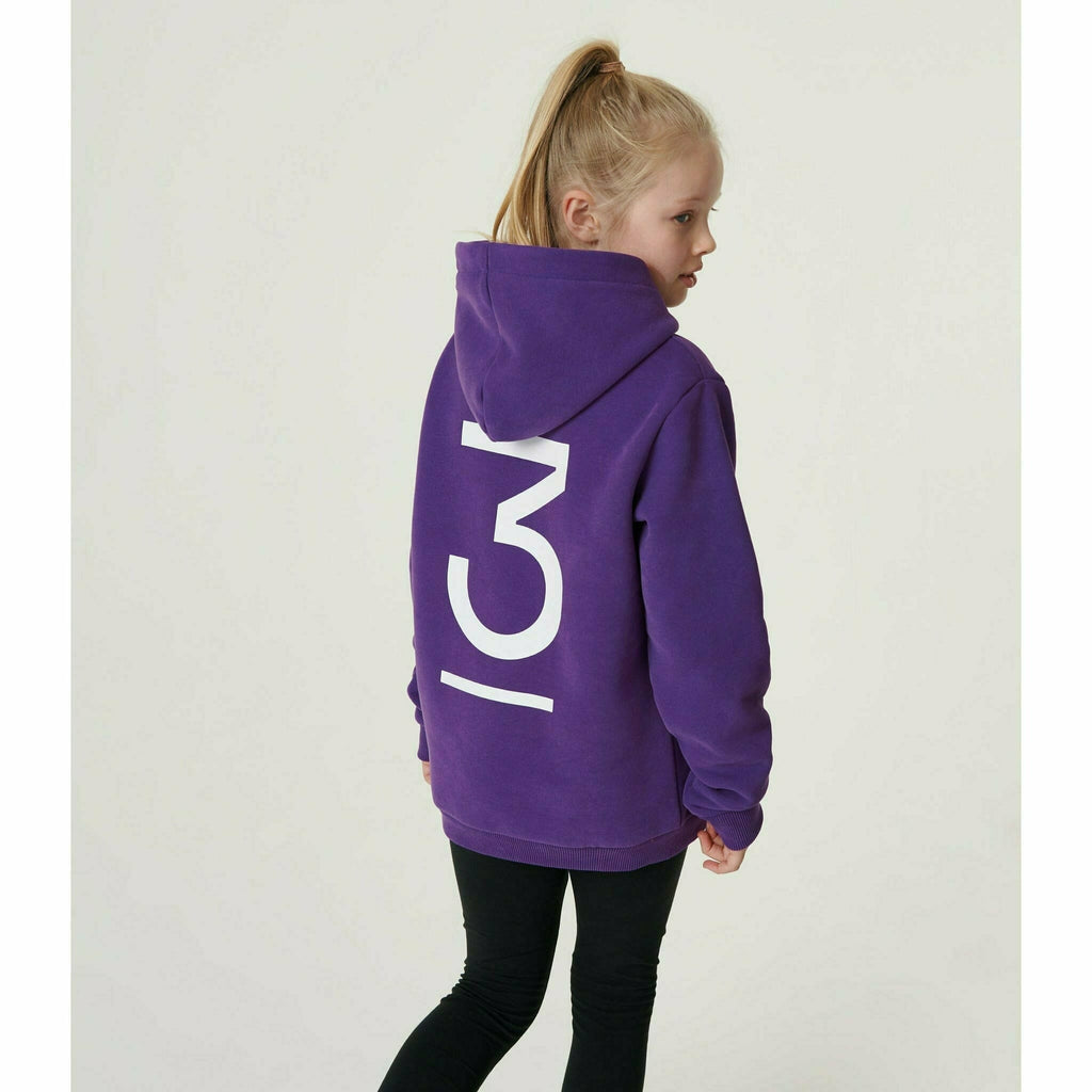 McLaren F1 Kids Daniel Ricciardo Home Territories Hoodie- Youth Purple Hoodies Light Gray