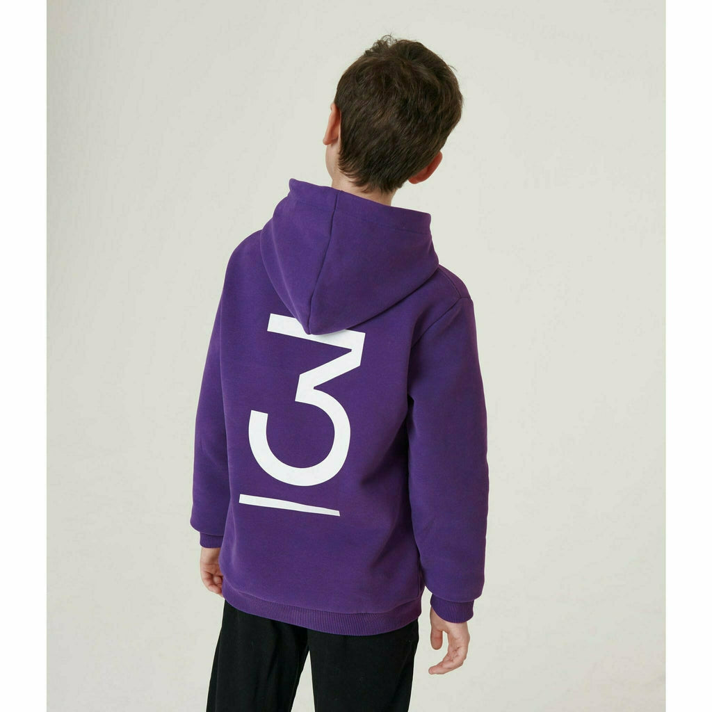 McLaren F1 Kids Daniel Ricciardo Home Territories Hoodie- Youth Purple Hoodies Dark Slate Gray