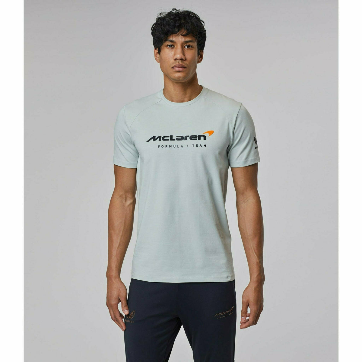 McLaren F1 Men's Lifestyle T-Shirt- Black/Dark Gray/Light Gray/Papaya/Blue/White T-shirts Gray