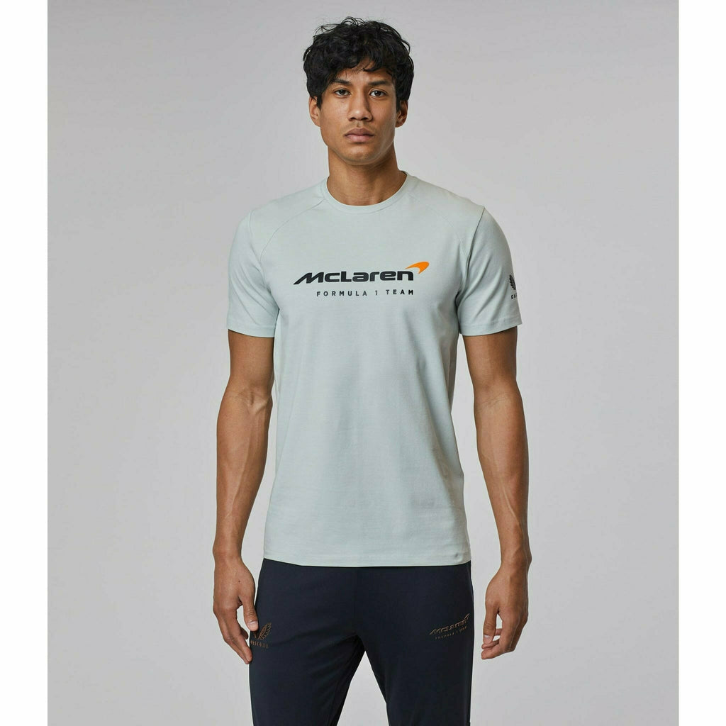 McLaren F1 Men's Lifestyle T-Shirt- Black/Dark Gray/Light Gray/Papaya/Blue/White T-shirts Gray