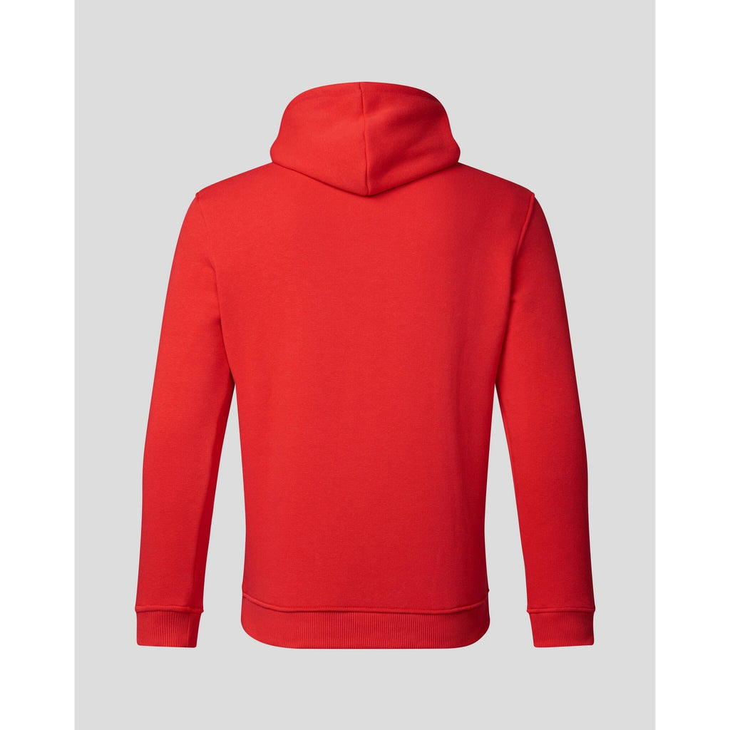 Red Bull Racing F1 Core Overhead Hoodie - Flame Scarlet/Grey/Night Sky Hoodies Light Gray
