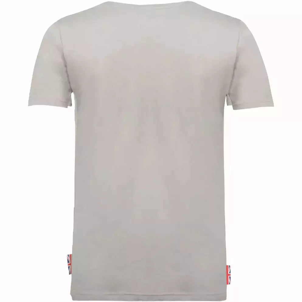 Aston Martin Cognizant F1 Men's Lifestyle T-Shirt T-shirts Gray
